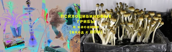 гашик Балабаново