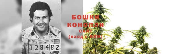 ПСИЛОЦИБИНОВЫЕ ГРИБЫ Балахна