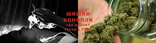 ПСИЛОЦИБИНОВЫЕ ГРИБЫ Балахна